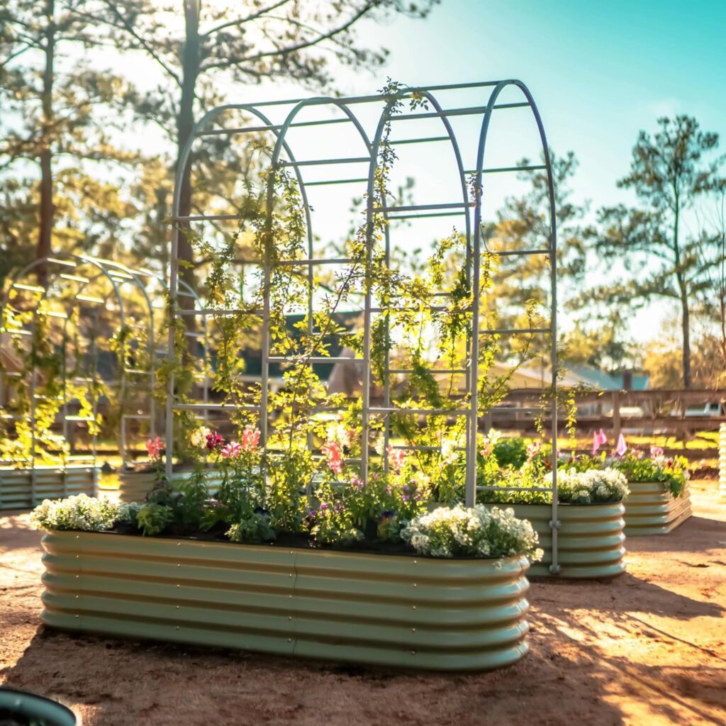 Arched Trellis
