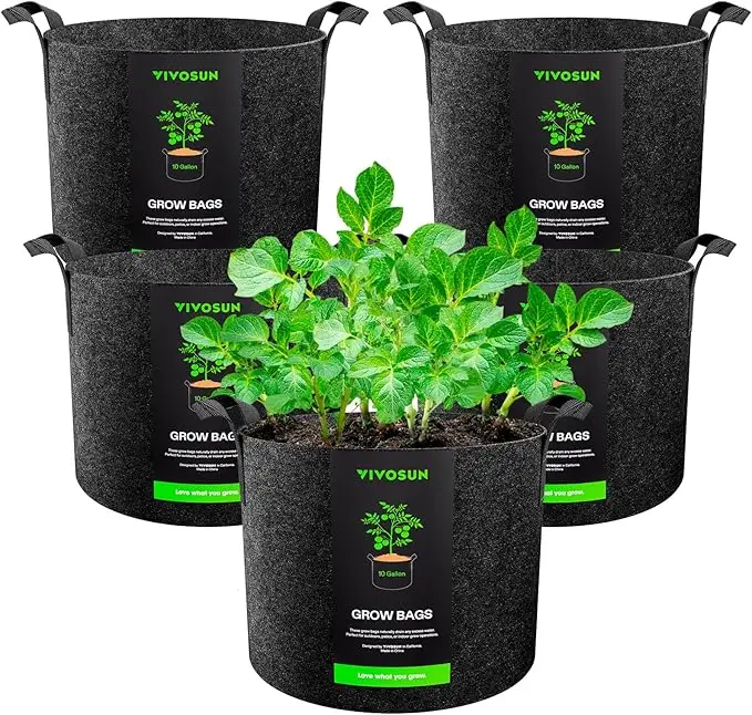 Black Grow Bags with plant in one