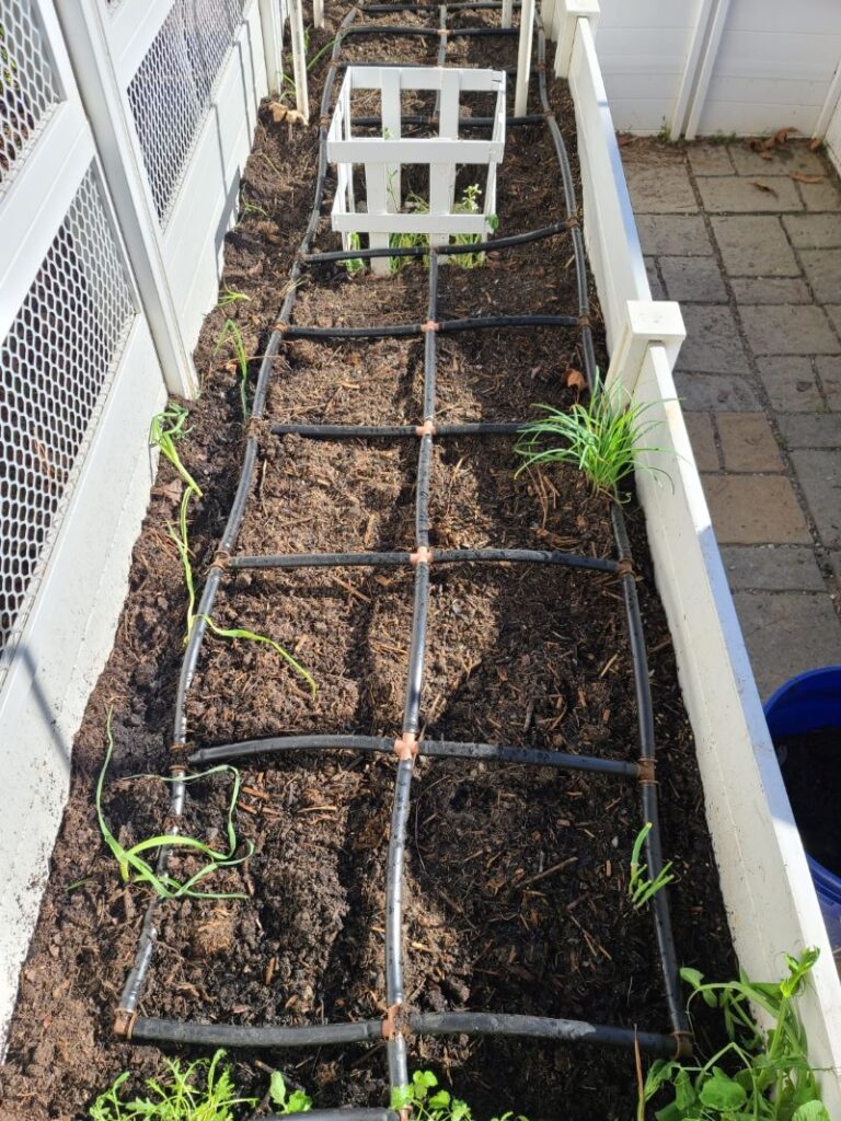 Vita Garden Keyholes and rain barrel irrigation