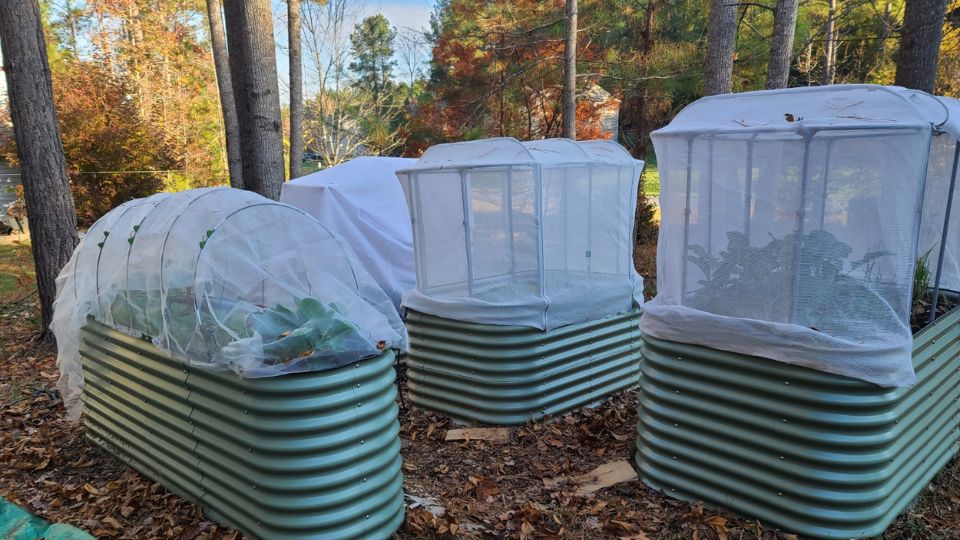 9-1 Vego in need of cover system, 3 6-1 Vego beds with cover systems